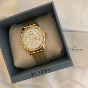 Skagen Gold Chain Mesh Watch